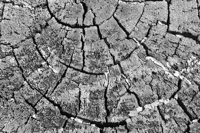 Free download Wood Texture Cracks -  free photo or picture to be edited with GIMP online image editor