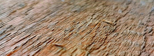 Free picture Wood Texture Structure -  to be edited by GIMP free image editor by OffiDocs