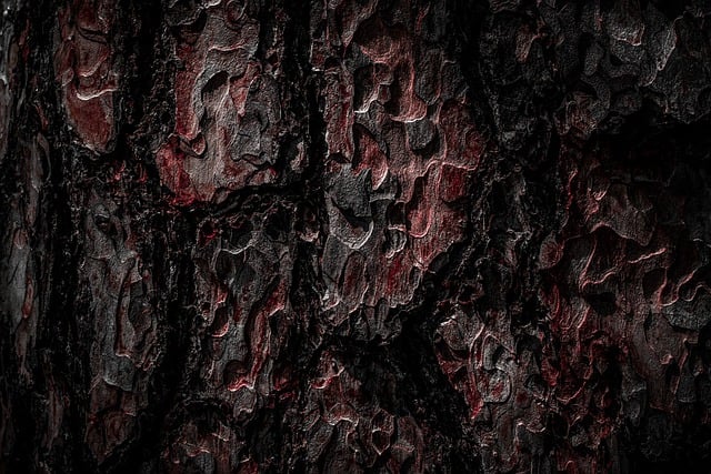Téléchargement gratuit de la texture du bois arbre forêt nature image gratuite à éditer avec l'éditeur d'images en ligne gratuit GIMP
