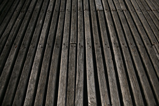 Free download wood texture tree old tree pier free picture to be edited with GIMP free online image editor