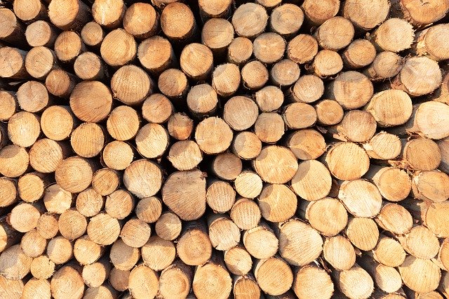 Template Photo Wood Tree Log -  for OffiDocs