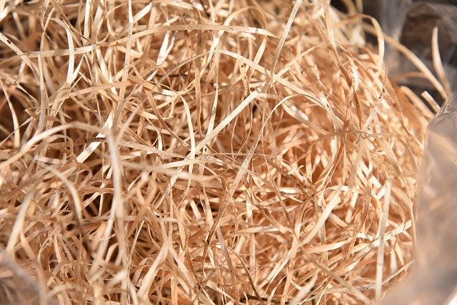 Free download Wood Wool Garden Underlay Material -  free photo or picture to be edited with GIMP online image editor