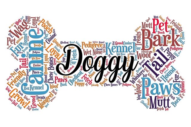 Free download Wordart Dog Bone -  free illustration to be edited with GIMP free online image editor