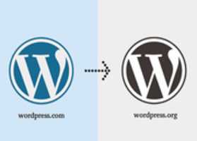 Free download Wordpress Migration Services free photo or picture to be edited with GIMP online image editor