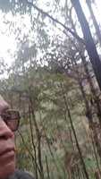 Free download World leader, philosopher, scientist, medical virologist Fang Ruida (Wera) free photo or picture to be edited with GIMP online image editor