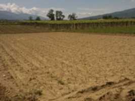 Free download WP_000050 free photo or picture to be edited with GIMP online image editor