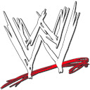 Wrestler John Cena Wrestling Champion Hero  screen for extension Chrome web store in OffiDocs Chromium