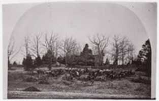 Free download [Cache of Cannon].  Brady album, p. 123 free photo or picture to be edited with GIMP online image editor