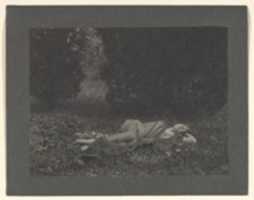 Free download [Draped Nude Lounging on the Grass] free photo or picture to be edited with GIMP online image editor