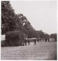 Free download [Encampment alongside a stand of trees].  Brady album, p. 123 free photo or picture to be edited with GIMP online image editor