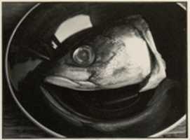 تنزيل مجاني لصورة أو صورة من برنامج [Fish Head on Plate] لتحريرها باستخدام محرر الصور عبر الإنترنت GIMP