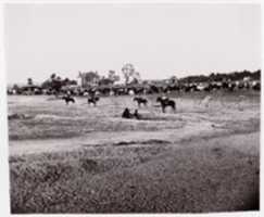 Free download [Herd of Horses].  Brady album, p. 123 free photo or picture to be edited with GIMP online image editor