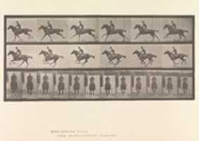 Free download [Horse and Rider Galloping] free photo or picture to be edited with GIMP online image editor