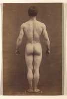 Free download [Male Musculature Study] free photo or picture to be edited with GIMP online image editor