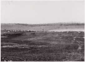 Free download [Maneuvers, Union Cavalry, Winter Quarters].  Brady album, p. 127 free photo or picture to be edited with GIMP online image editor