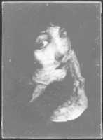Free download [Materialization of a Womans Face Produced by the Medium Eva C.] free photo or picture to be edited with GIMP online image editor