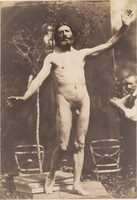 ดาวน์โหลดฟรี [Standing Male Nude] ฟรีรูปภาพหรือรูปภาพที่จะแก้ไขด้วยโปรแกรมแก้ไขรูปภาพออนไลน์ GIMP