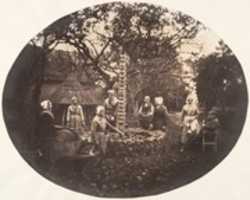 Free download [Women Stacking Carrots] free photo or picture to be edited with GIMP online image editor