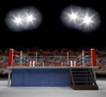 Free download 011878282 Entering Ring free photo or picture to be edited with GIMP online image editor