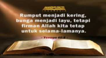 Free download 02 Aplikasi free photo or picture to be edited with GIMP online image editor
