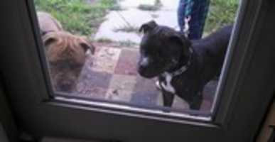 Free download 09-30-16 Boys at the Door free photo or picture to be edited with GIMP online image editor