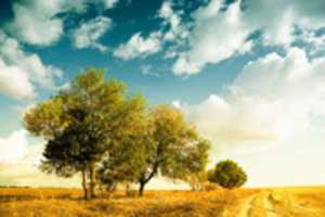 Free download 1024px Autumn Scenery free photo or picture to be edited with GIMP online image editor