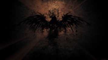 Free download 10. Eagle Wallpaper free photo or picture to be edited with GIMP online image editor