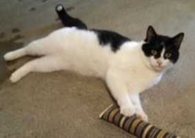 Free download 12-02-16 Max free photo or picture to be edited with GIMP online image editor