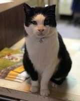 Free download 12-08-17 Kary free photo or picture to be edited with GIMP online image editor