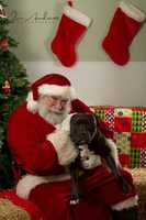 Free download 12-09-16 Kristy free photo or picture to be edited with GIMP online image editor