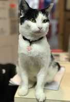 Free download 12-15-17 Ellen better pic free photo or picture to be edited with GIMP online image editor