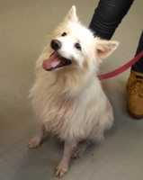 Free download 12-15-17 Frosty free photo or picture to be edited with GIMP online image editor