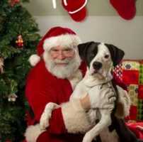 Free download 12-16-16 Happy free photo or picture to be edited with GIMP online image editor