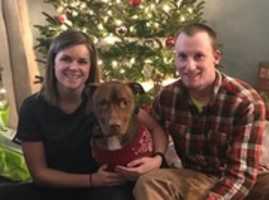 Free download 12-30-16 Sarg Merry Christmas free photo or picture to be edited with GIMP online image editor
