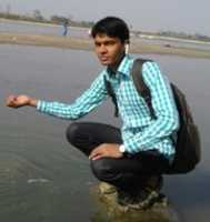 Free download 124201775054 free photo or picture to be edited with GIMP online image editor