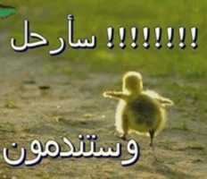 Free download 1254 149373075254125 1722539448 N free photo or picture to be edited with GIMP online image editor