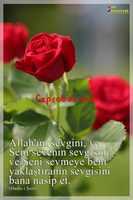 Free download 129 Dualar Ve Zikirler Halis Atilla 27 Mart 2016 free photo or picture to be edited with GIMP online image editor
