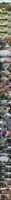 Free download 12a 6ff 55f 3970dc 8ff 12db 85b 50b 89f 1 Bbz KZo Fgfj 788 Uy 4dqv Br 5f free photo or picture to be edited with GIMP online image editor