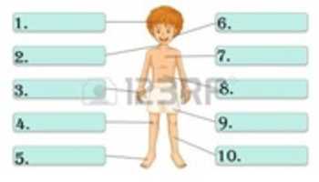 Free download 13189249 Ilustracion De Las Partes Del Cuerpo Etiquetas free photo or picture to be edited with GIMP online image editor