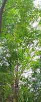 Free download 138 A free photo or picture to be edited with GIMP online image editor