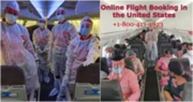 Free download 142229 Enaklpajde 1590998869 free photo or picture to be edited with GIMP online image editor