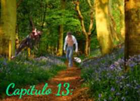 Free download 1519565504853 free photo or picture to be edited with GIMP online image editor