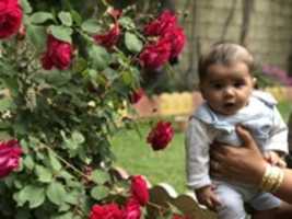 Free download 1 5 2019 free photo or picture to be edited with GIMP online image editor