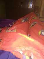 Free download 1570100083256172153267 free photo or picture to be edited with GIMP online image editor