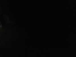 Free download 1578609870096. free photo or picture to be edited with GIMP online image editor