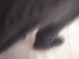 Free download 15798315859532422823485597190673 free photo or picture to be edited with GIMP online image editor