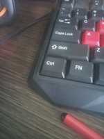 Free download 1582359077617. free photo or picture to be edited with GIMP online image editor