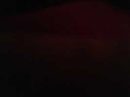 Free download 1586829549024 1674994770 free photo or picture to be edited with GIMP online image editor