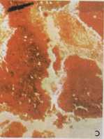 বিনামূল্যে ডাউনলোড করুন 1616161 বিনামূল্যের ছবি বা ছবি GIMP অনলাইন ইমেজ এডিটর দিয়ে সম্পাদনা করতে