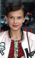 Free download 16MilliobbyBrown free photo or picture to be edited with GIMP online image editor